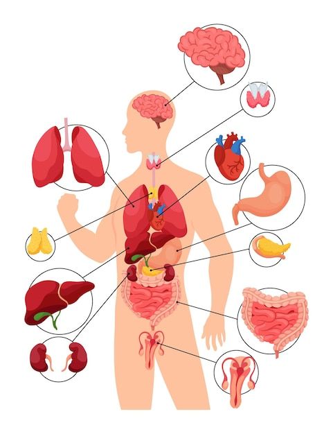ECG and diagnostic equipment in the consultation room